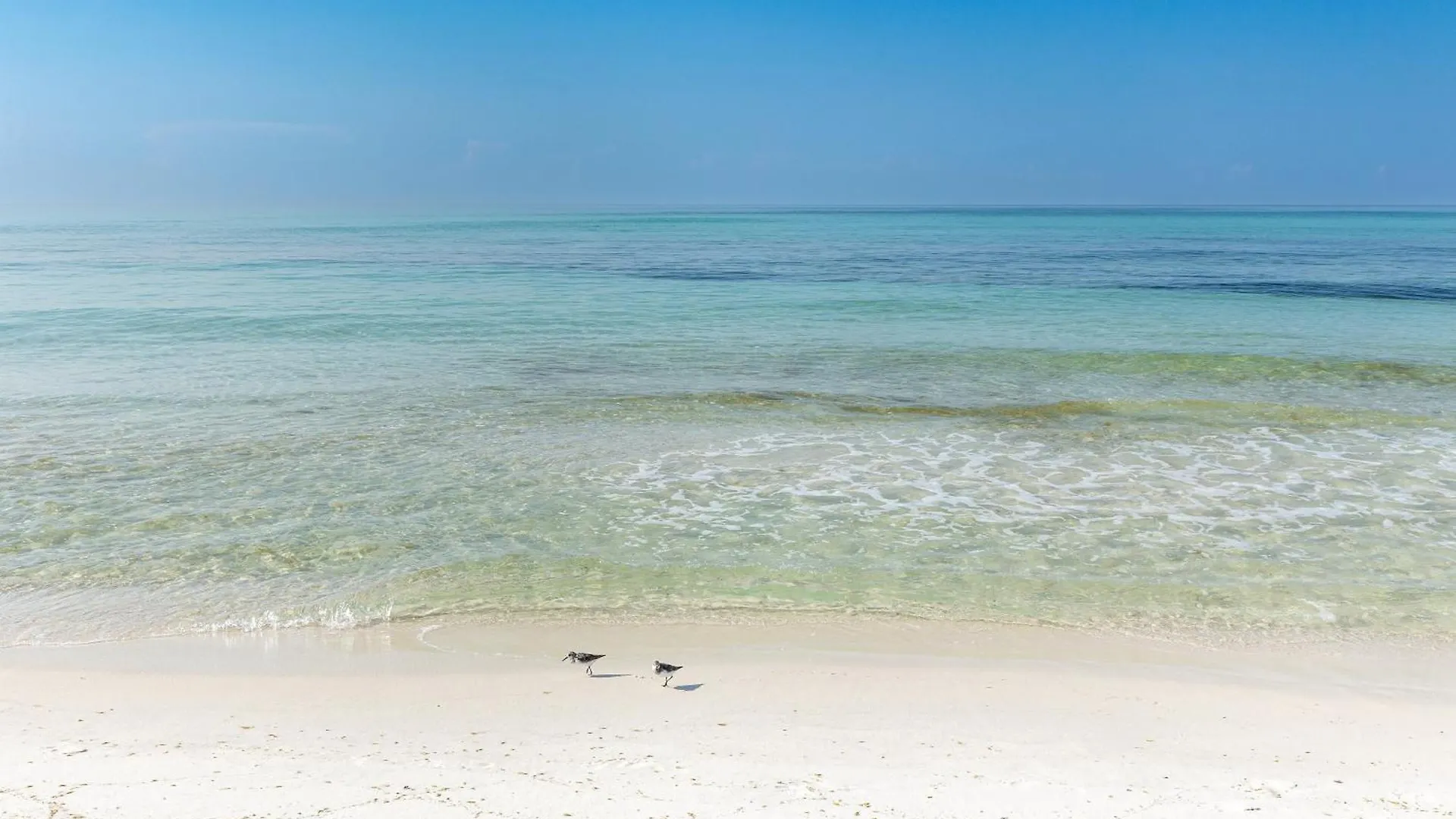 Destin Towers 61- By Holiday Isle Properties 0*,  United States
